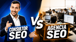 consultor SEO vs agencia SEO - cual elegir - que es mejor - ventajas y desventajas
